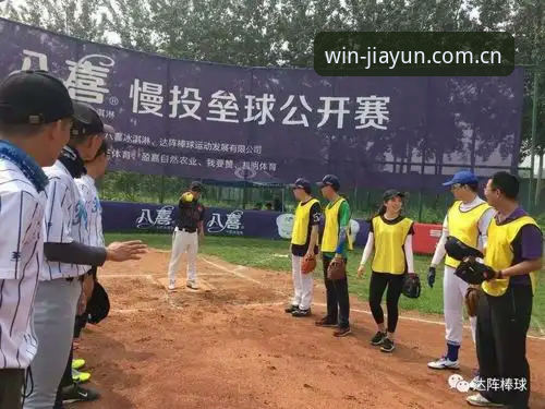 盈嘉体育官网入口 vs 普通体育平台：哪个更适合新手入门？